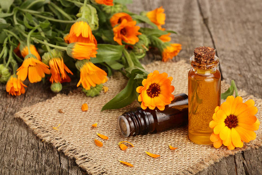 Limited collection calendula roller oil